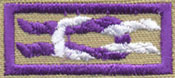 international scouter award