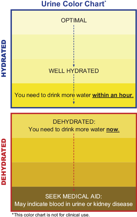 hydration