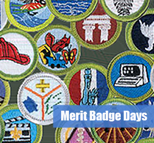 merit badge Days