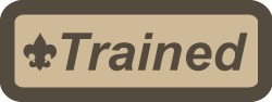 Trained patch