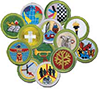 Merit Badge