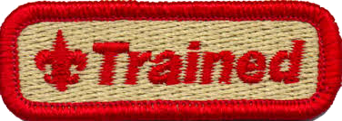 Trained patch